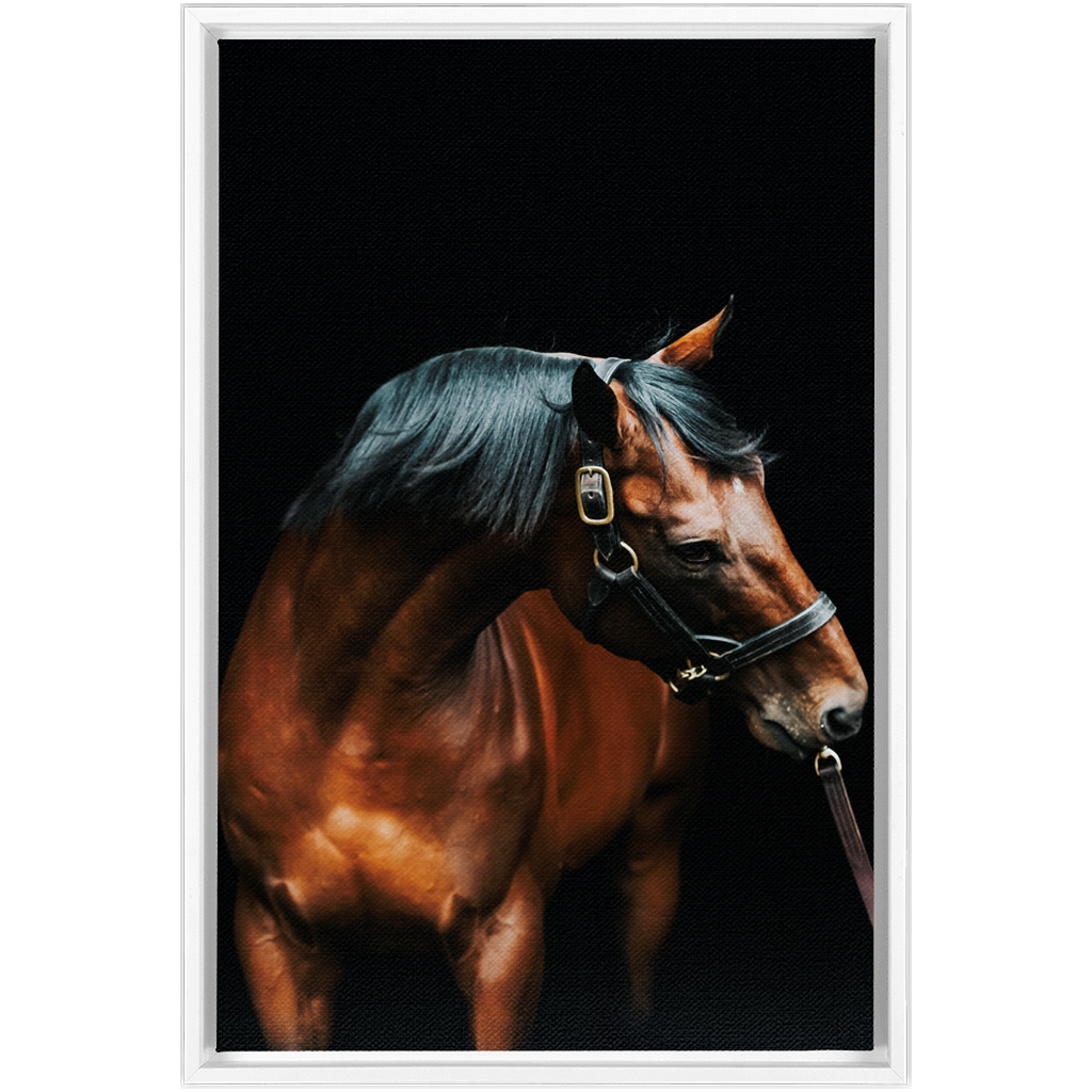 American Pharoah Series 3, Framed Canvas