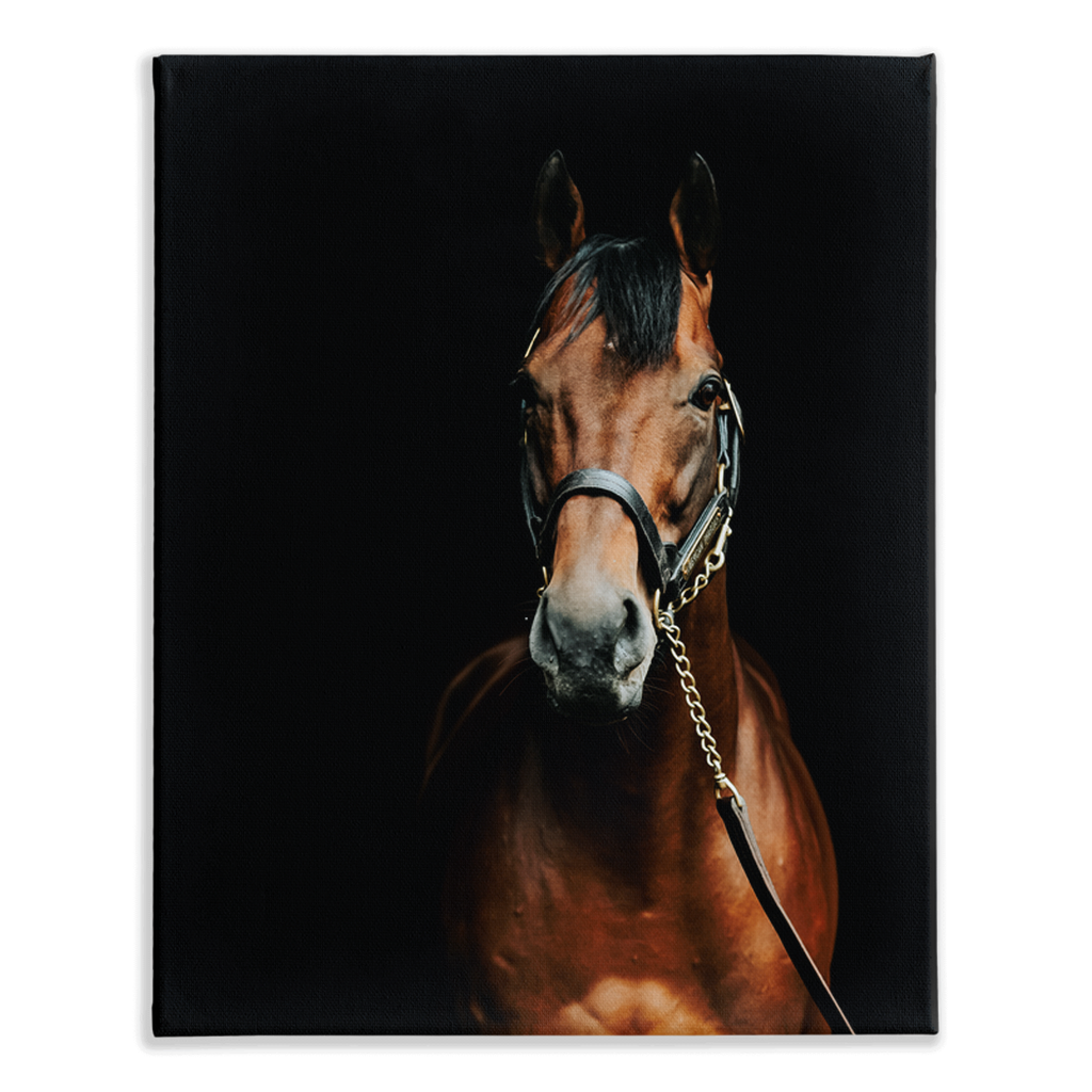 American Pharoah Series 4, Stretched Canvas