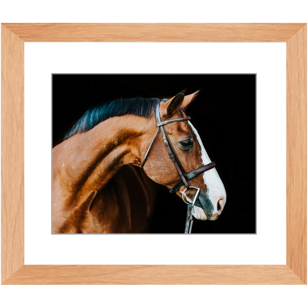 Huntsman Series 3, Framed Print
