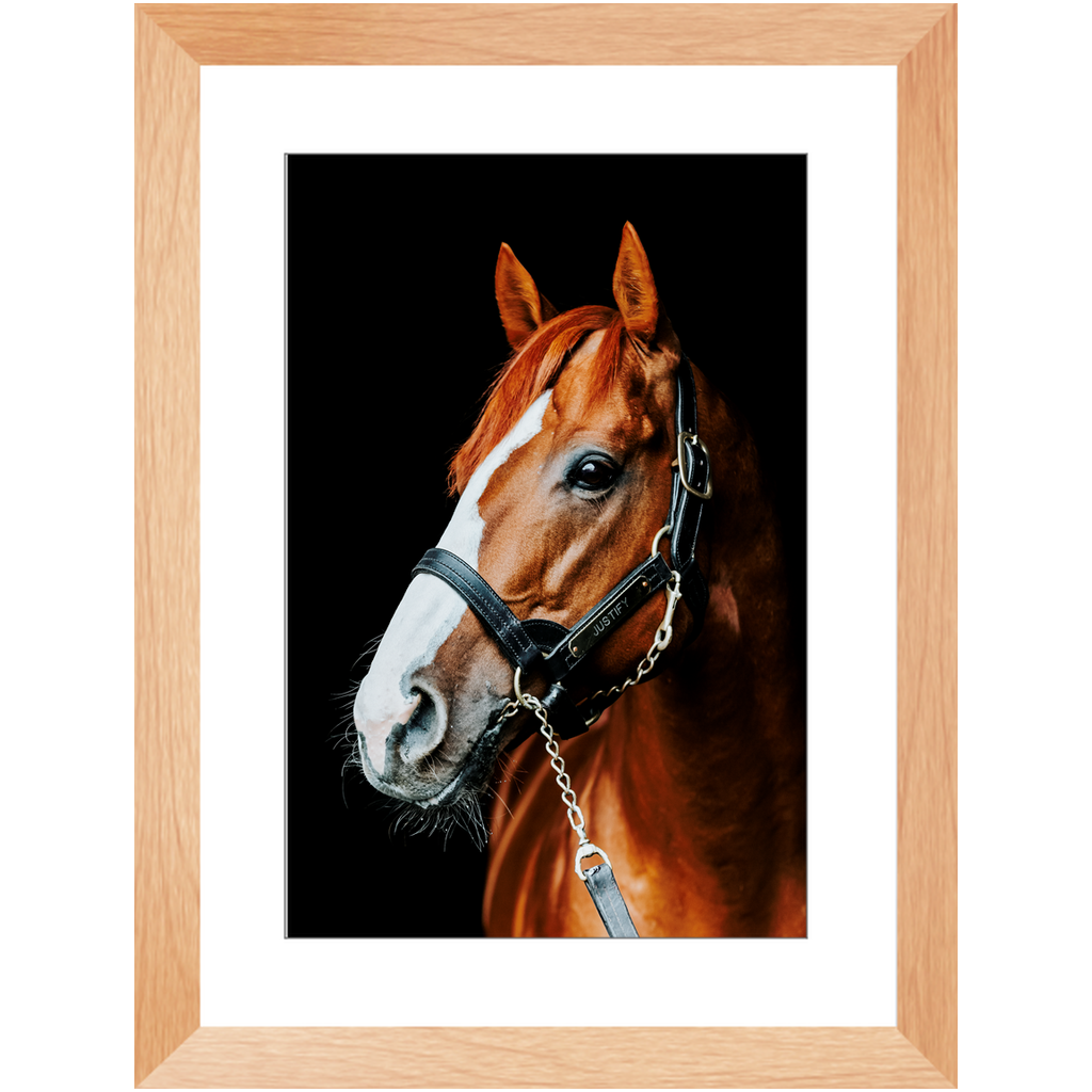 Justify Series 5, Framed Print