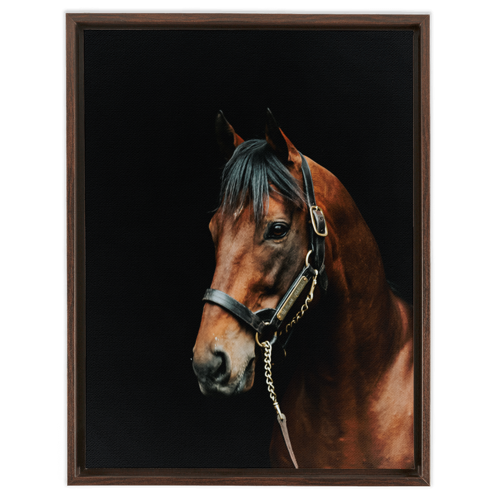 American Pharoah Series 2, Framed Canvas