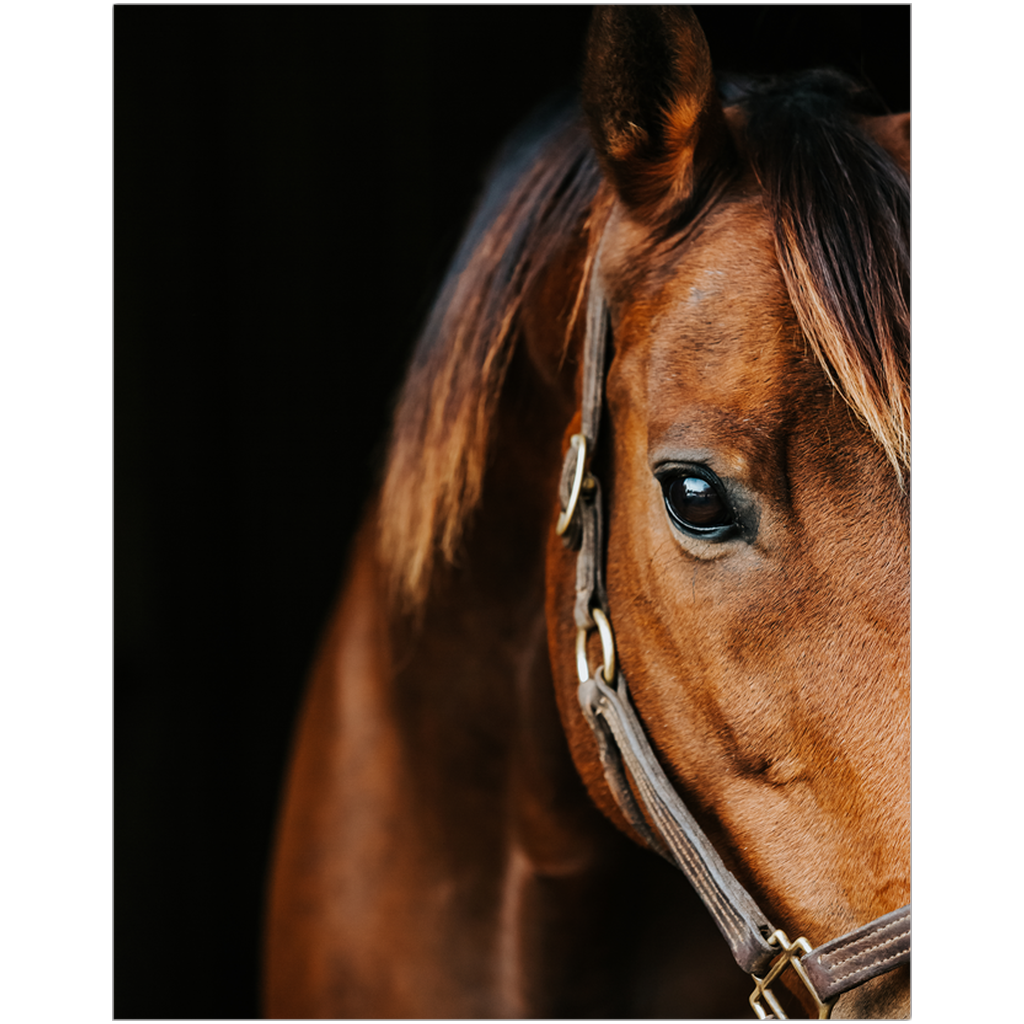 Majestic Series 3, Print