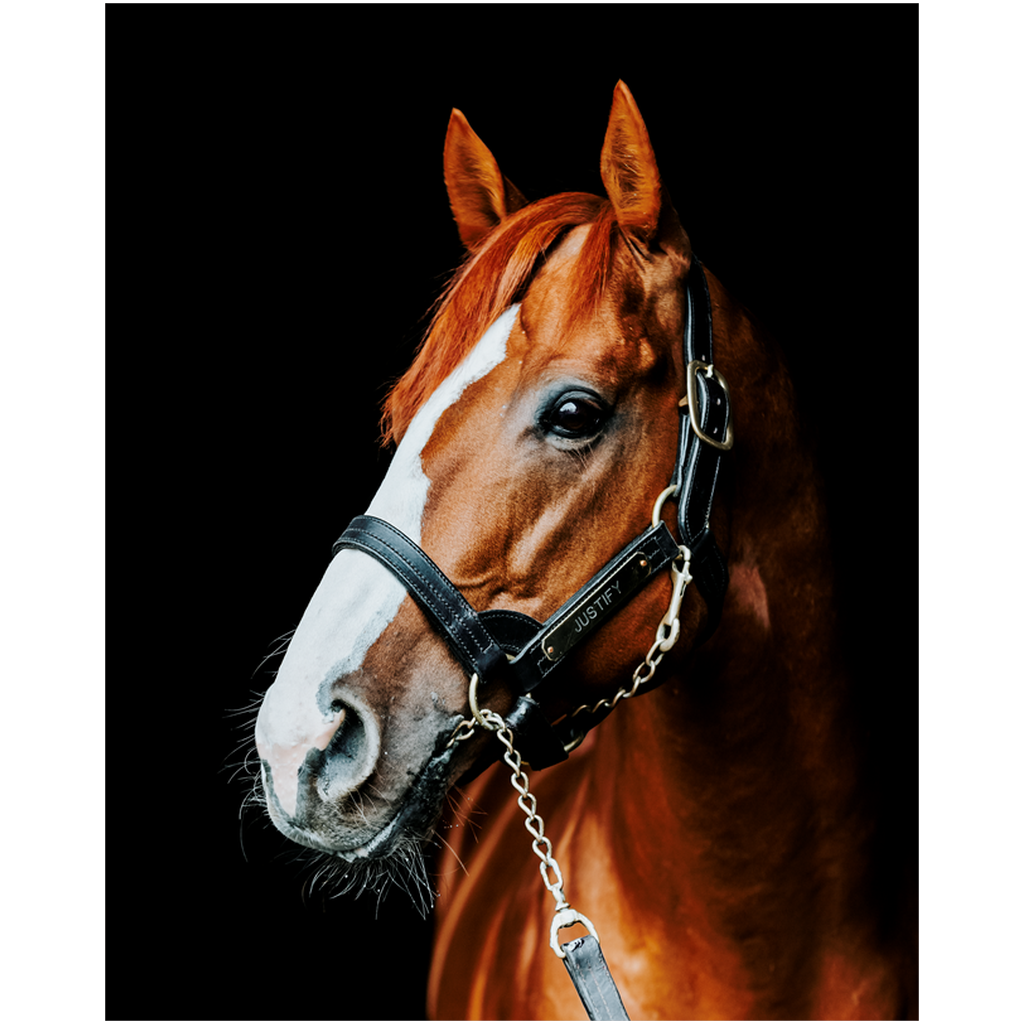 Justify Series 5, Print