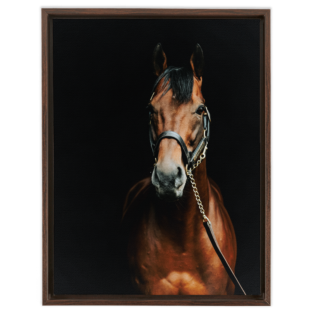 American Pharoah Series 4, Framed Canvas
