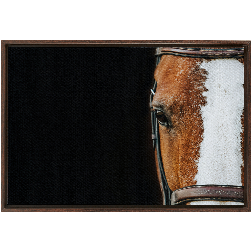 Huntsman Series 5, Framed Canvas