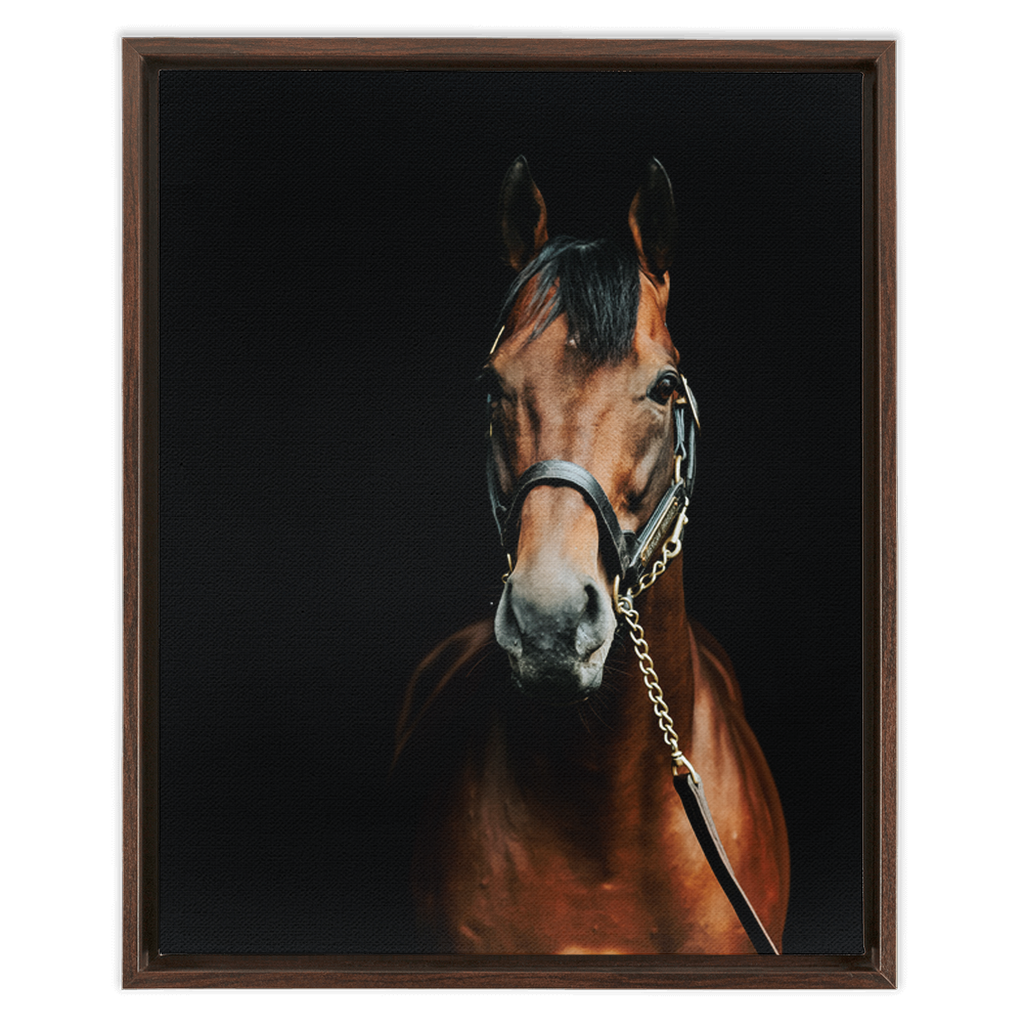 American Pharoah Series 4, Framed Canvas