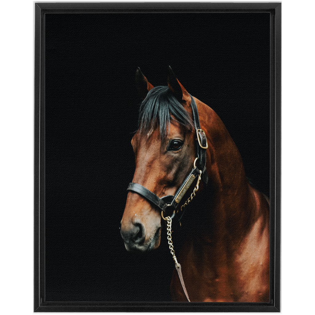American Pharoah Series 2, Framed Canvas