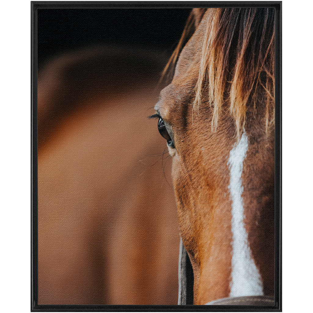 Majestic 1, Framed Canvas