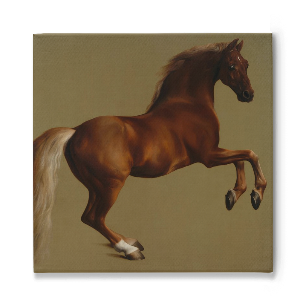 Whistlejacket, Stretched Canvas
