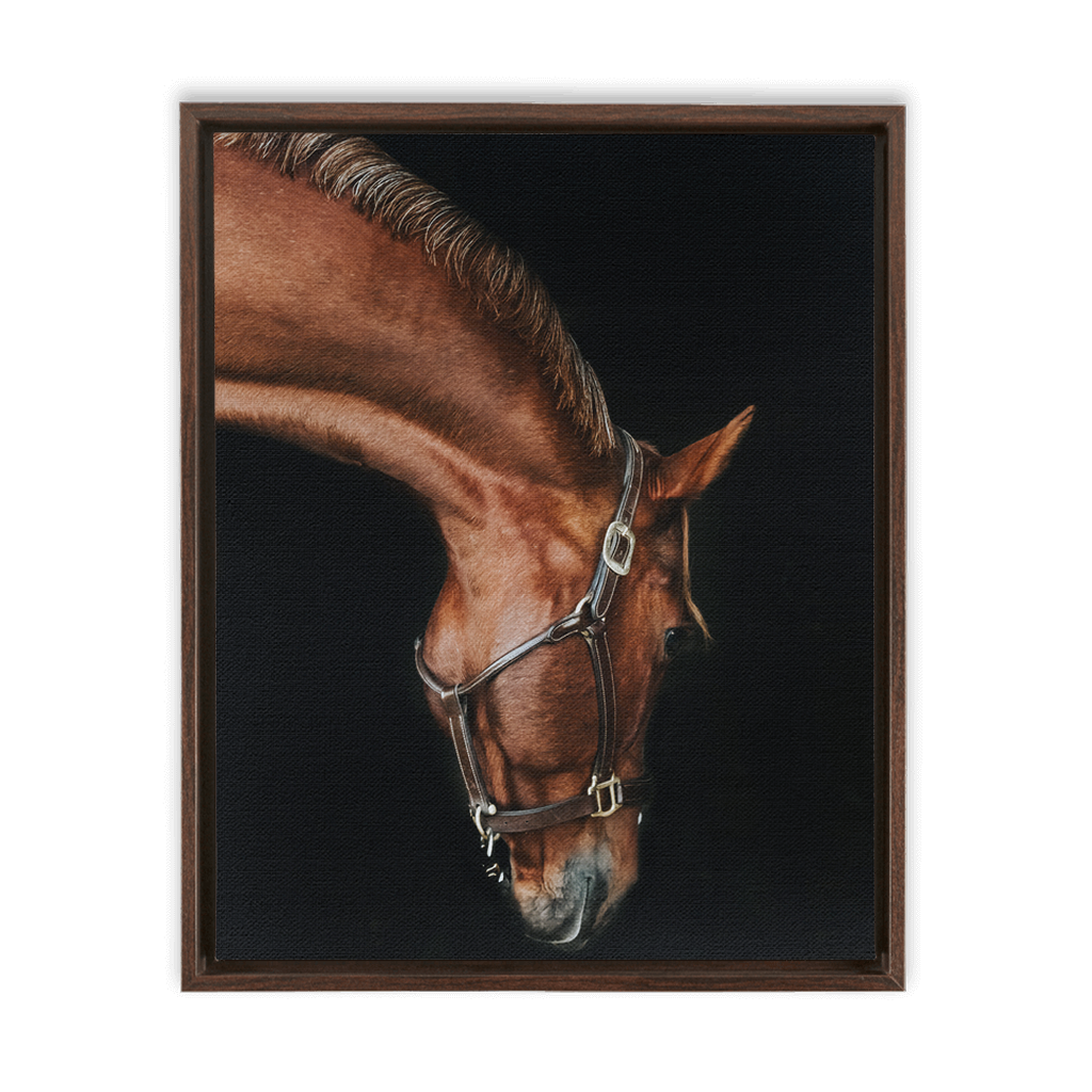 Django Series 6, Framed Canvas