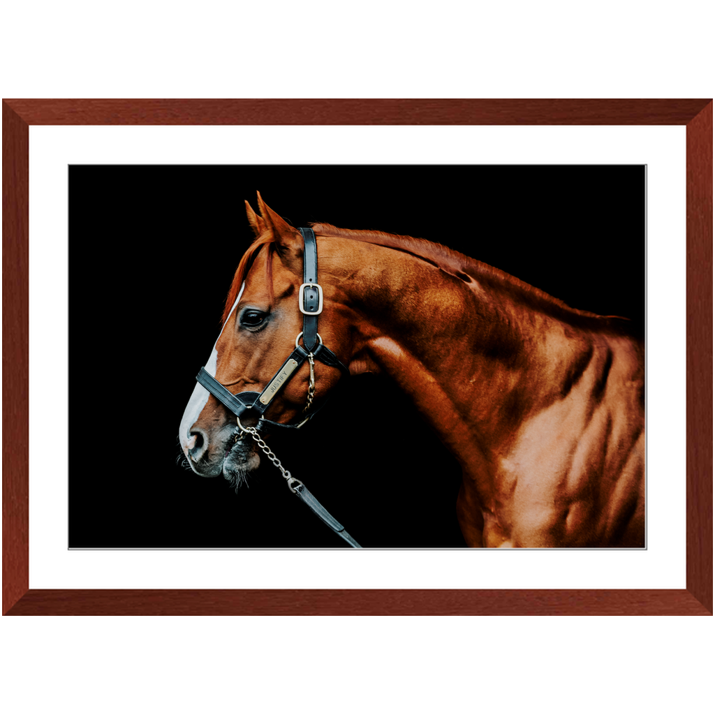 Justify Series 3, Framed Print