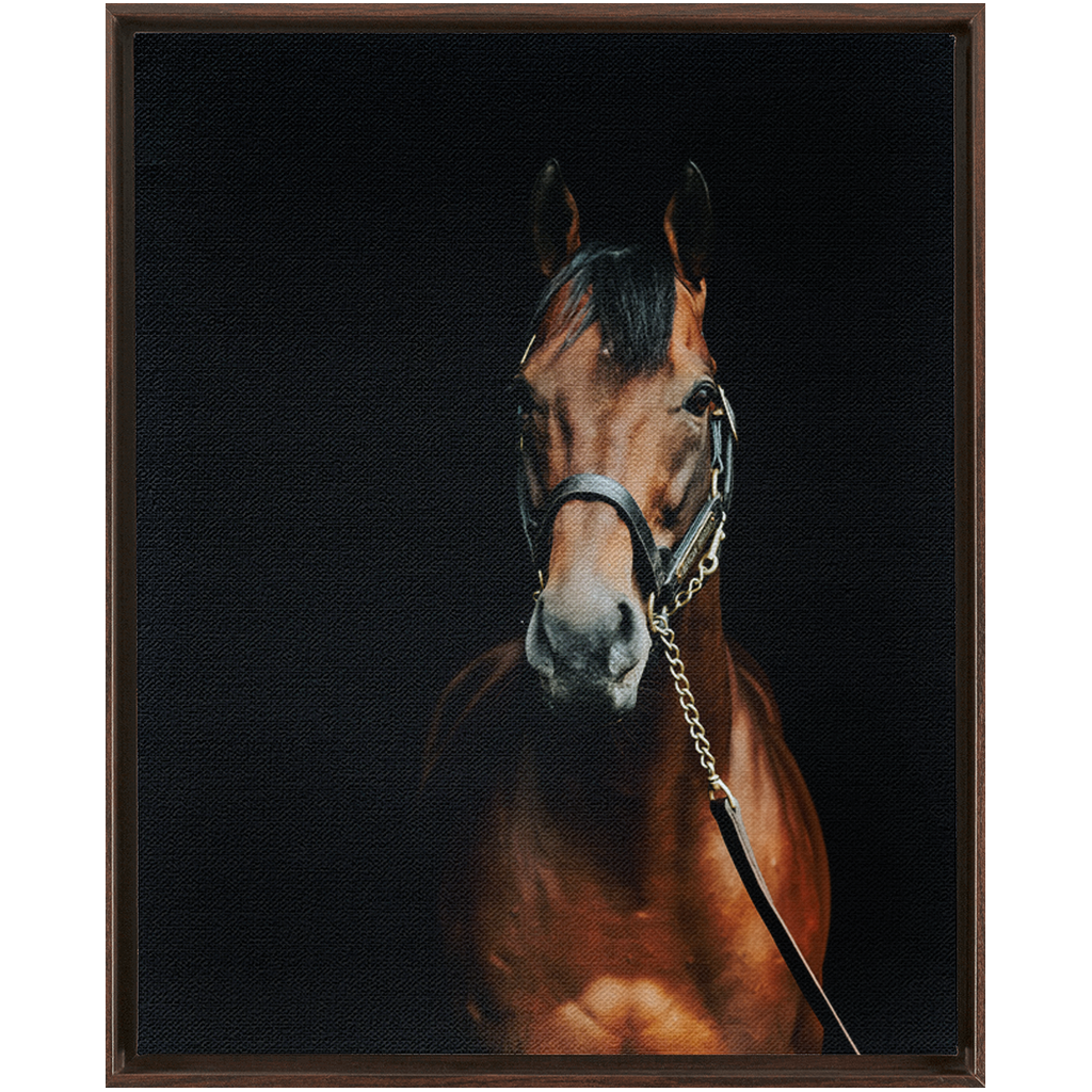 American Pharoah Series 4, Framed Canvas