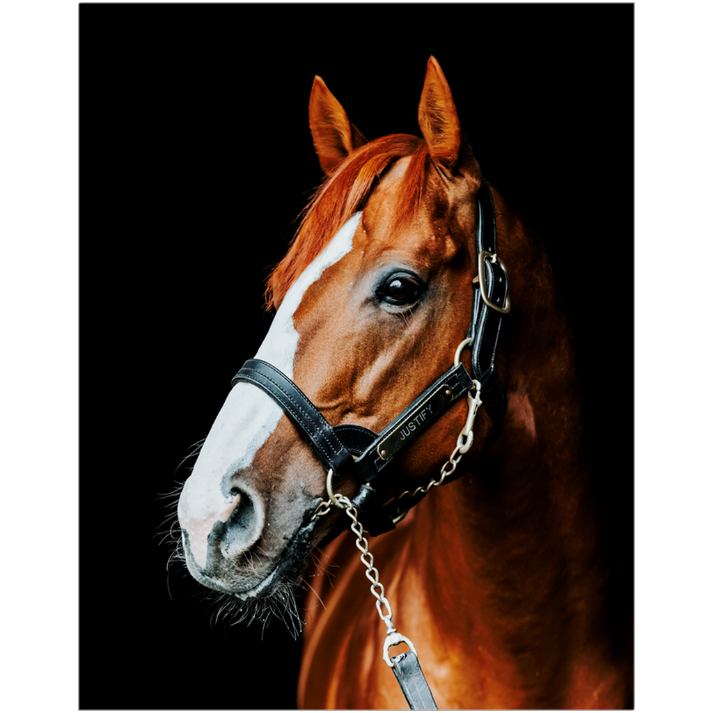 Justify Series 5, Print
