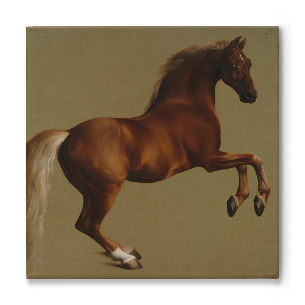 Whistlejacket, Stretched Canvas