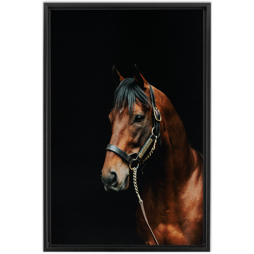 American Pharoah Series 2, Framed Canvas