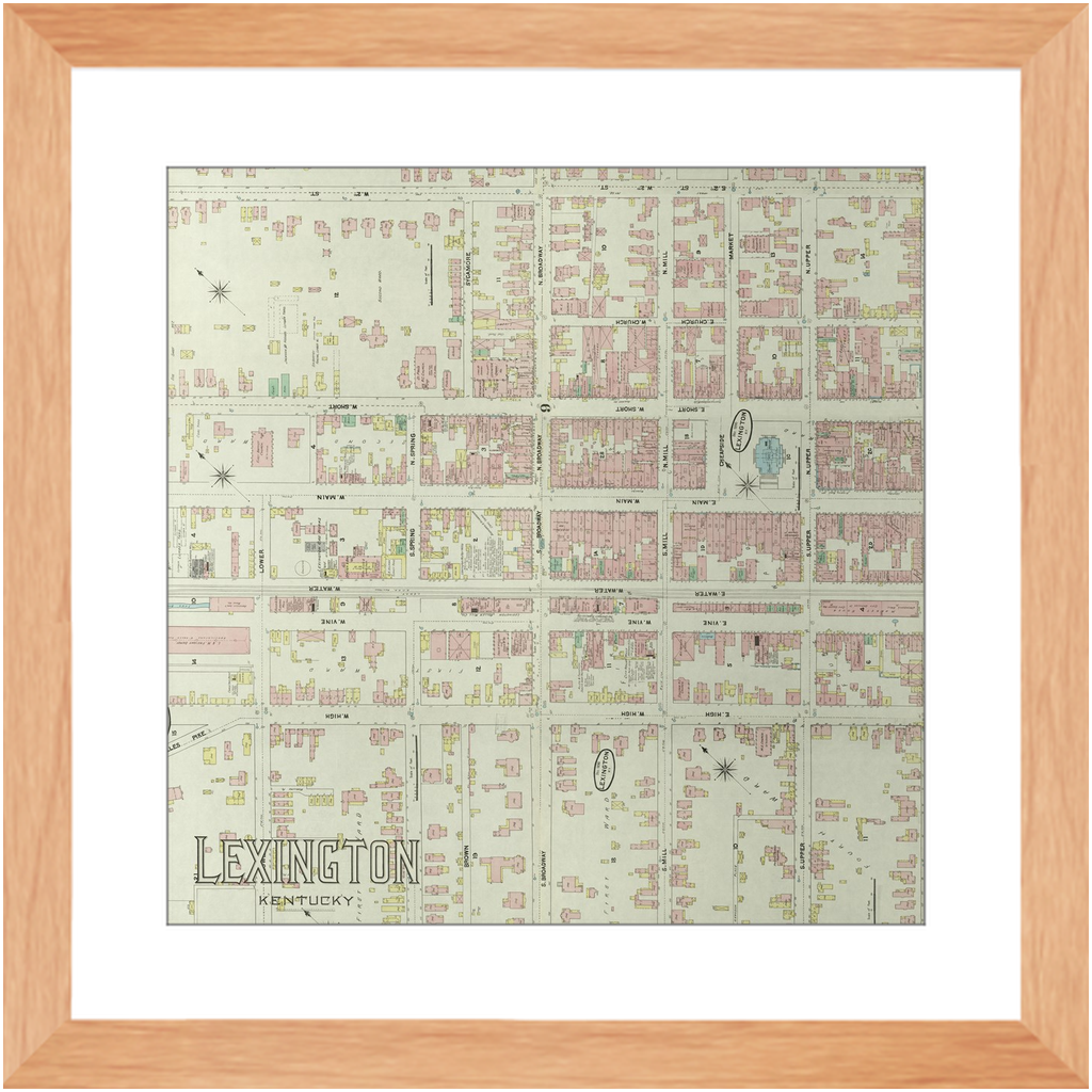 1890 Lexington Insurance Map