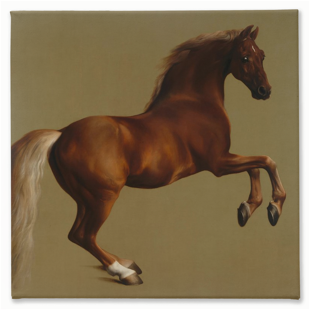 Whistlejacket, Stretched Canvas