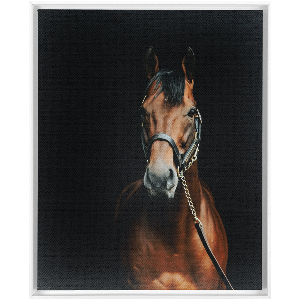 American Pharoah Series 4, Framed Canvas