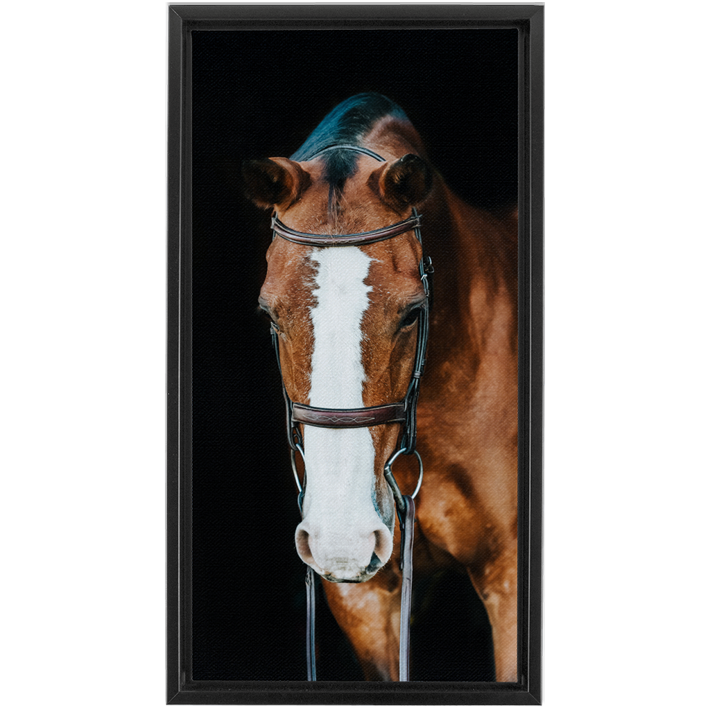 Huntsman Series 6, Framed Canvas