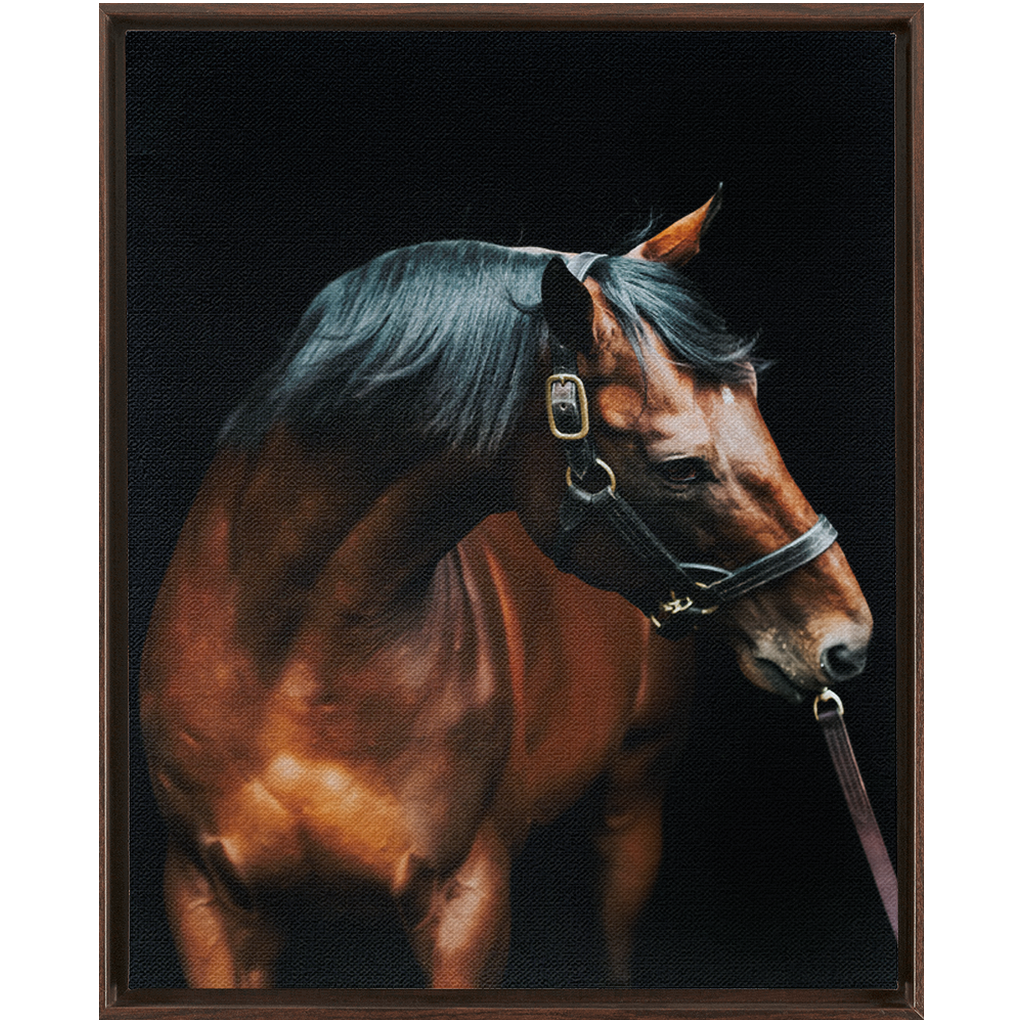 American Pharoah Series 3, Framed Canvas