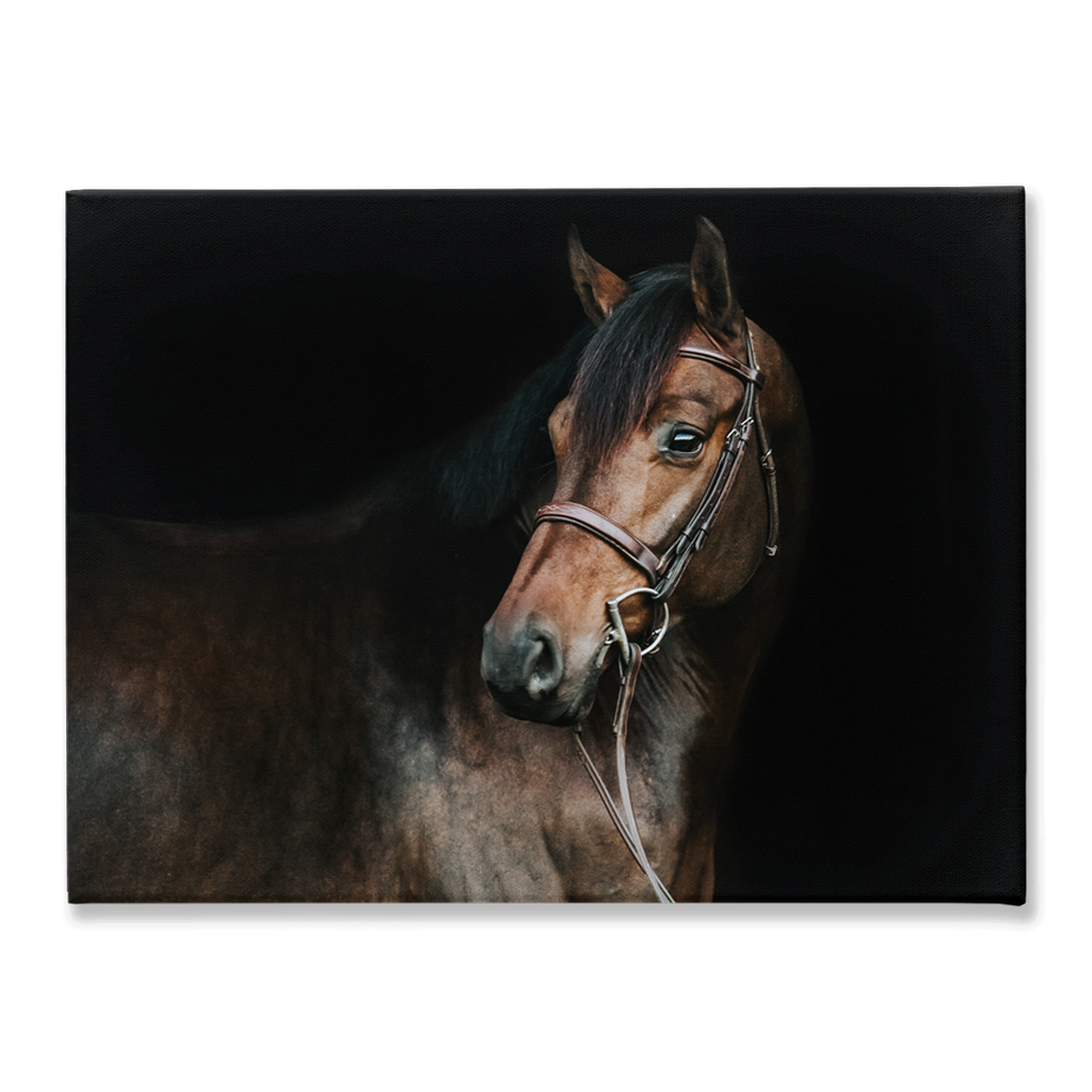 Jovial Series 2, Stretched Canvas