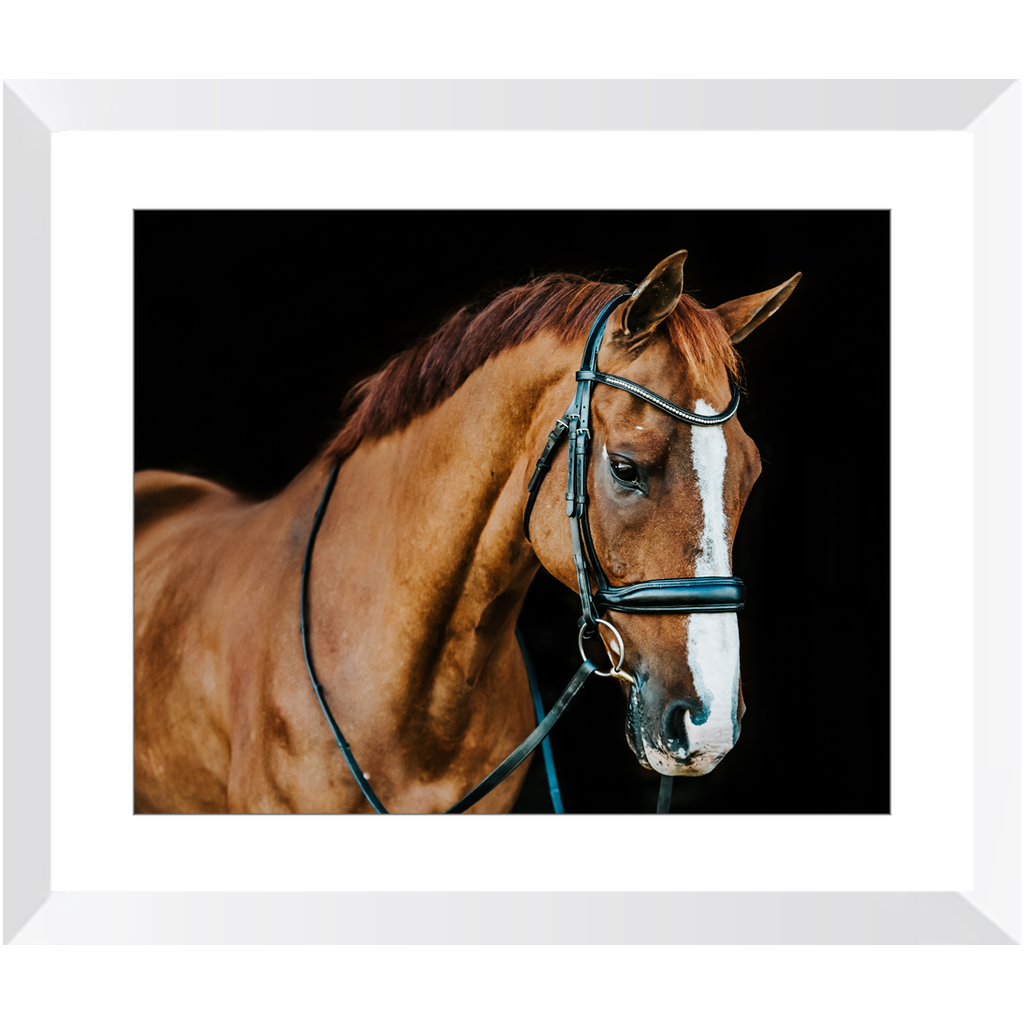 Hudson Series 1, Framed Print