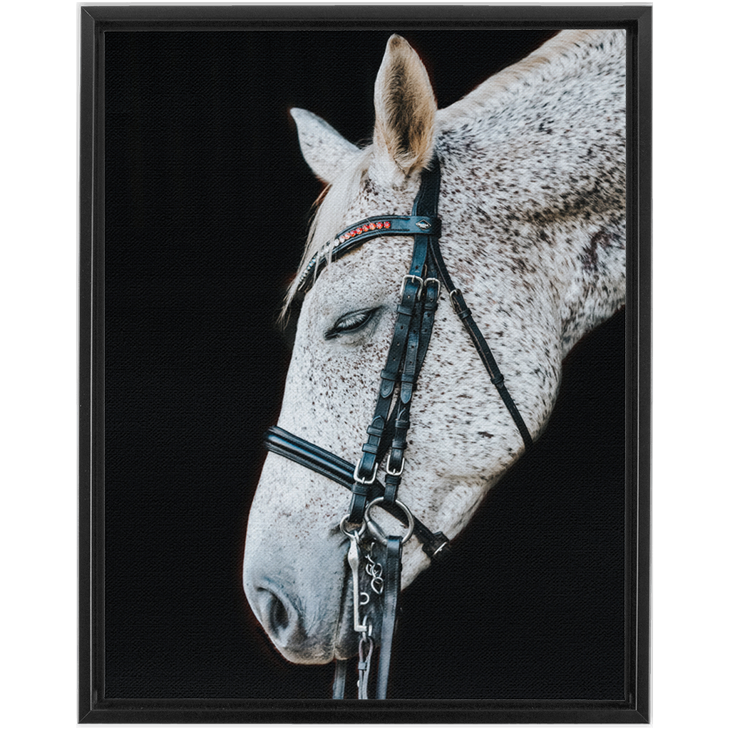 Apollo Series 1, Framed Canvas