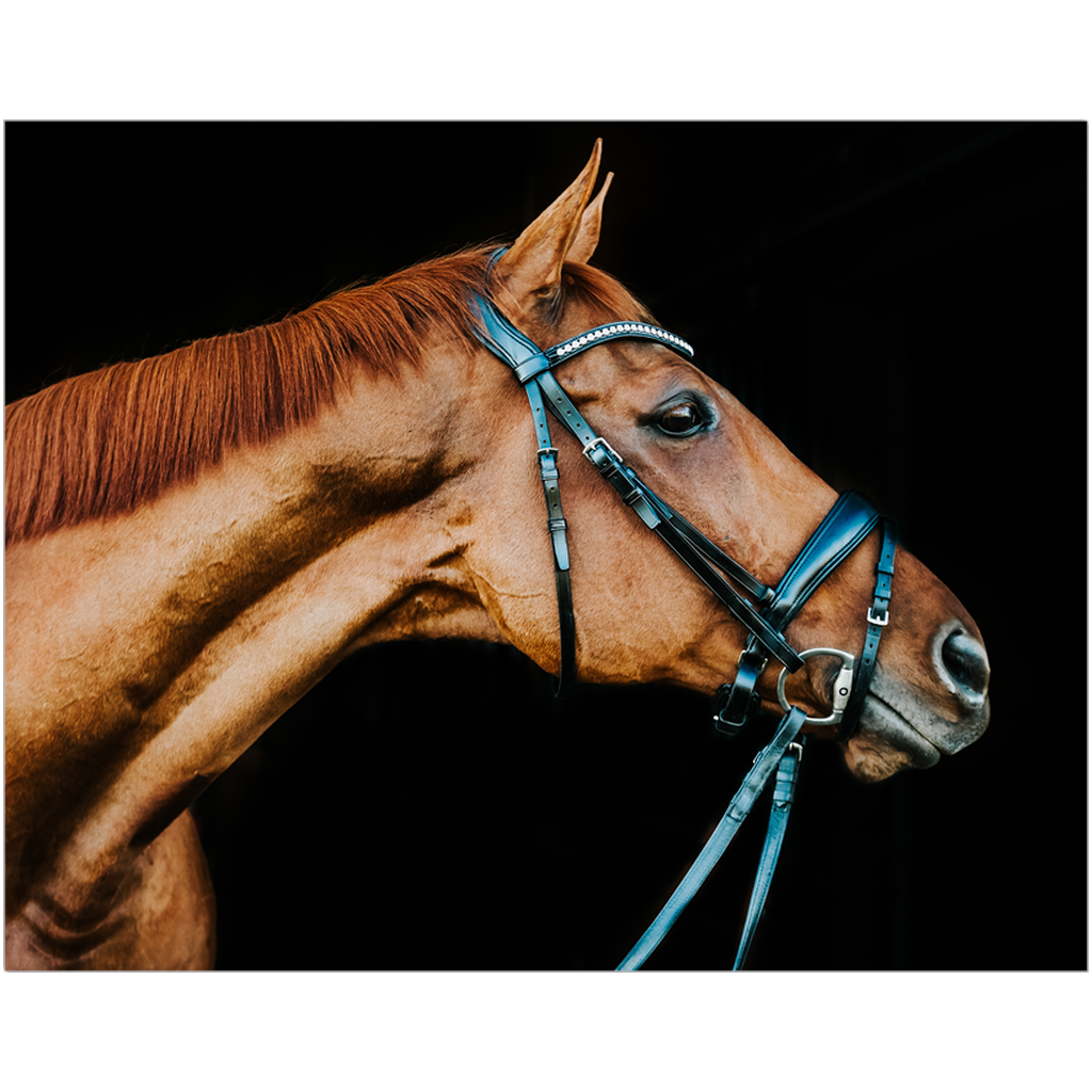 Serengeti Series 2, Prints