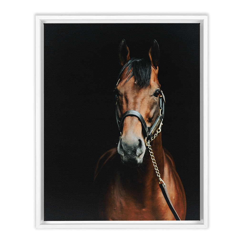 American Pharoah Series 4, Framed Canvas