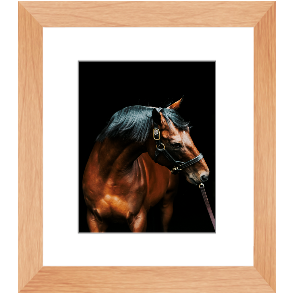 American Pharoah Series 3, Framed Print