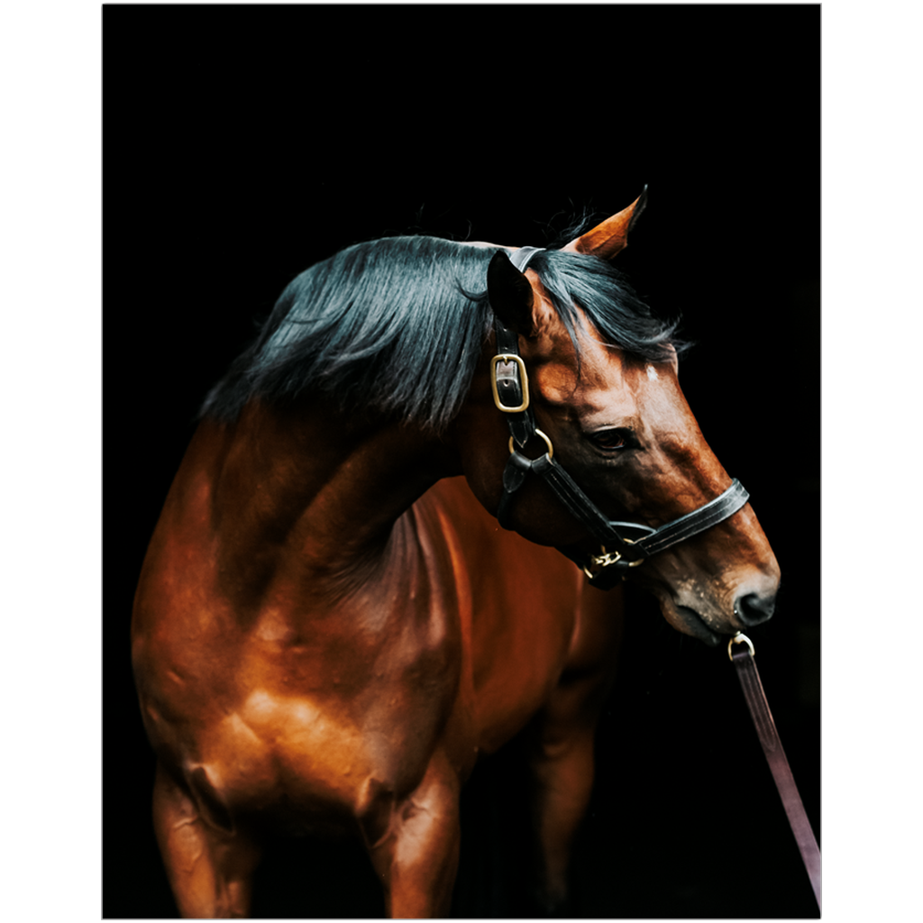 American Pharoah Series 3, Print