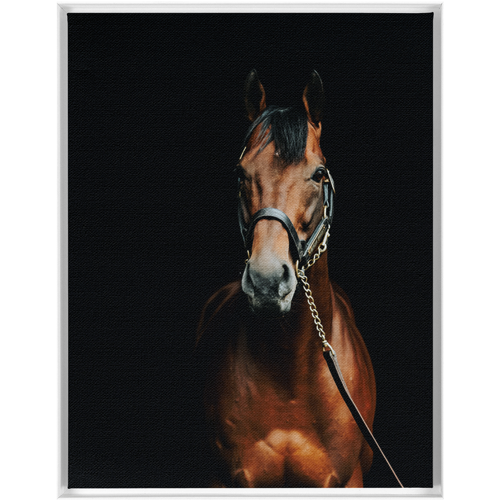 American Pharoah Series 4, Framed Canvas