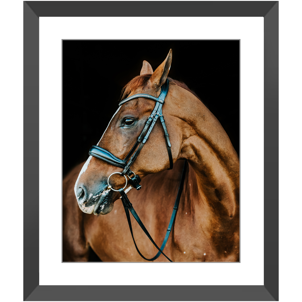 Hudson Series 6, Framed Print