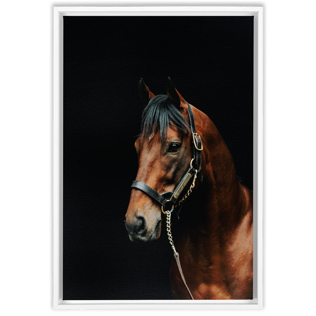 American Pharoah Series 2, Framed Canvas