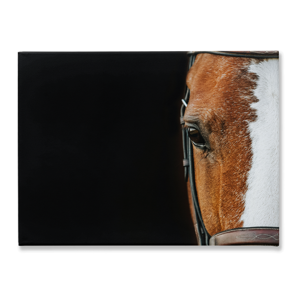 Huntsman Series 5, Stretched Canvas