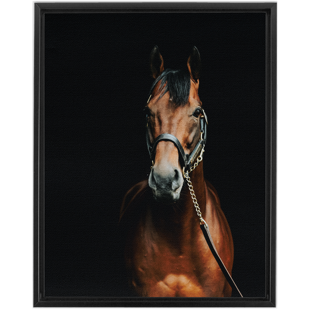 American Pharoah Series 4, Framed Canvas