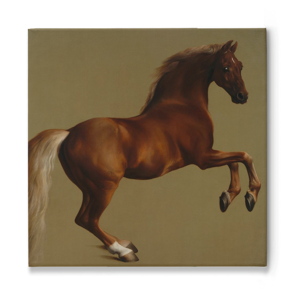 Whistlejacket, Stretched Canvas