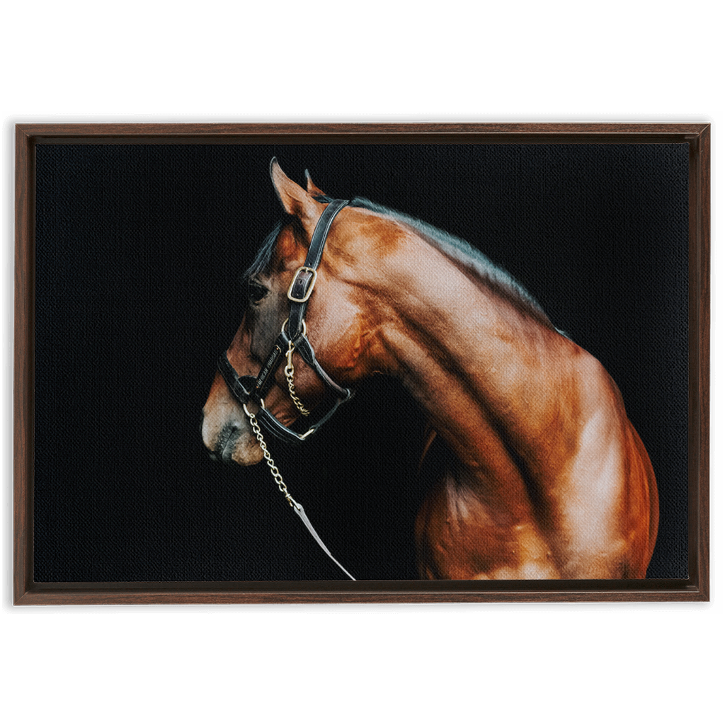 American Pharoah Series 5, Framed Canvas