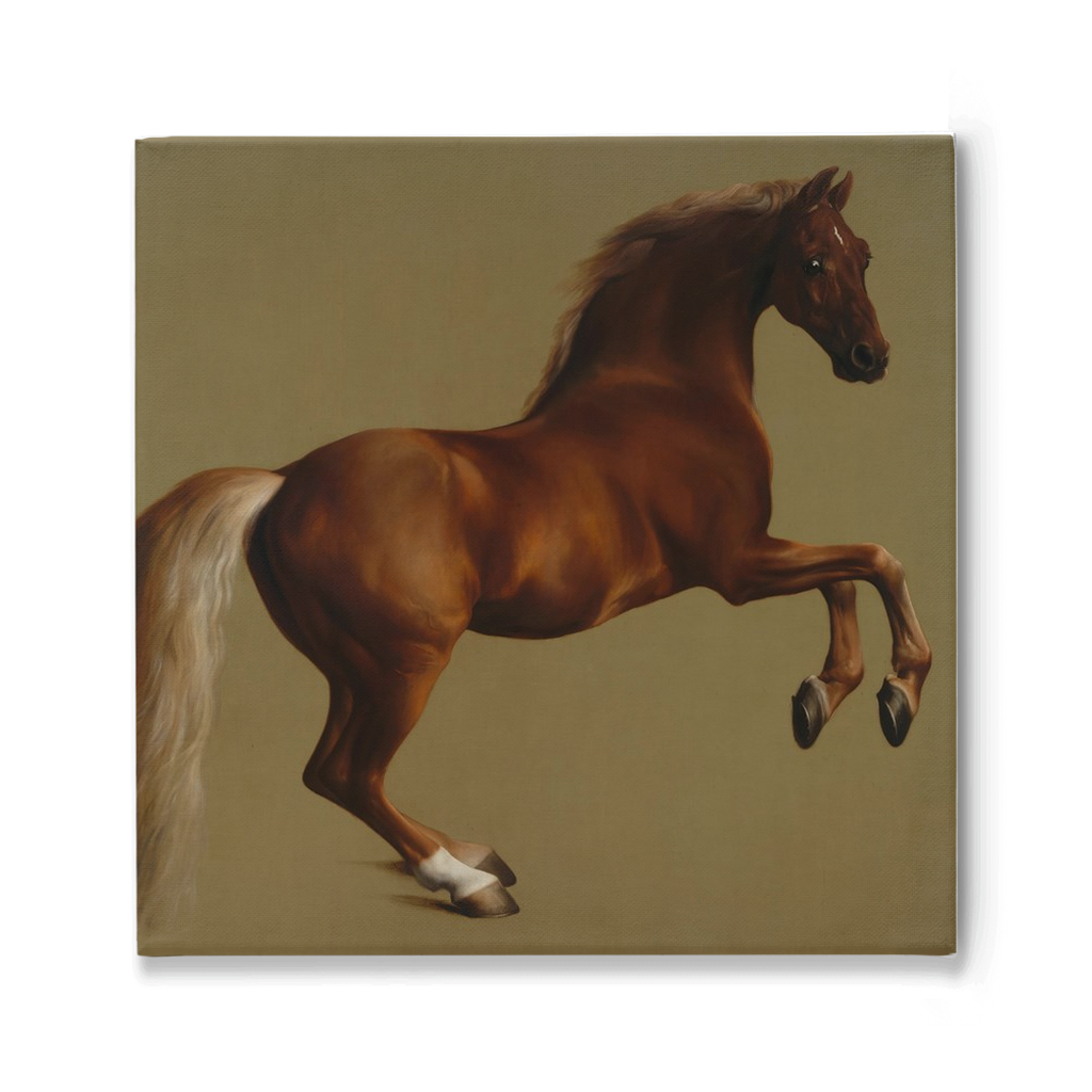 Whistlejacket, Stretched Canvas