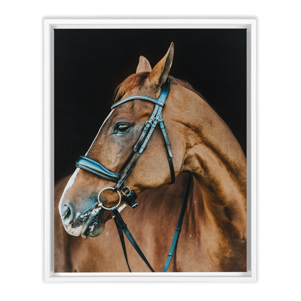 Hudson Series 6, Framed Canvas