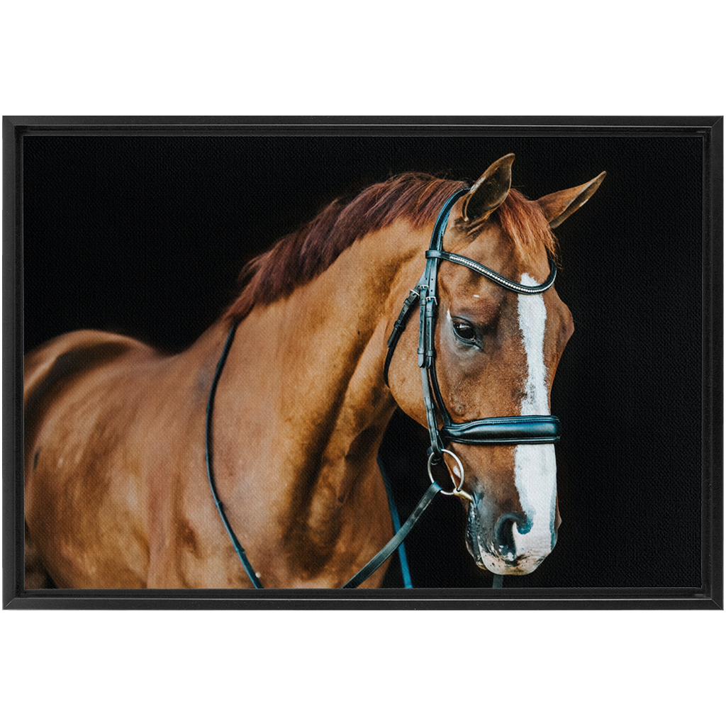 Hudson Series 1, Framed Canvas