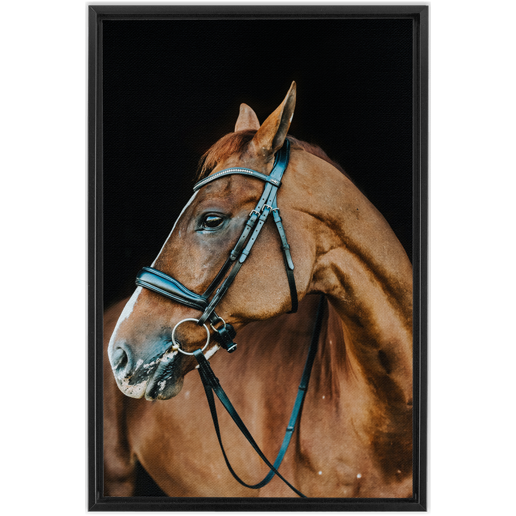Hudson Series 6, Framed Canvas