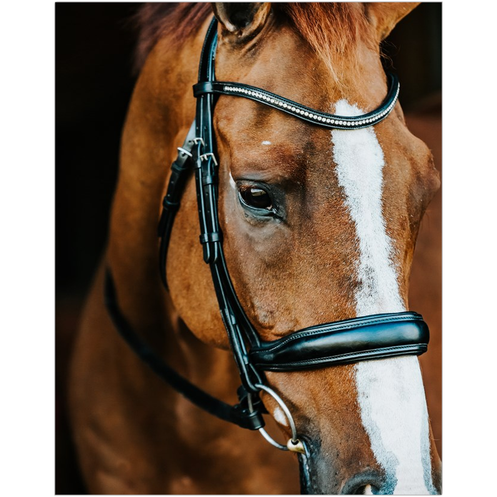 Hudson Series 3, Print