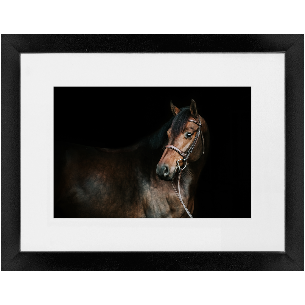 Jovial Series 2, Framed Print