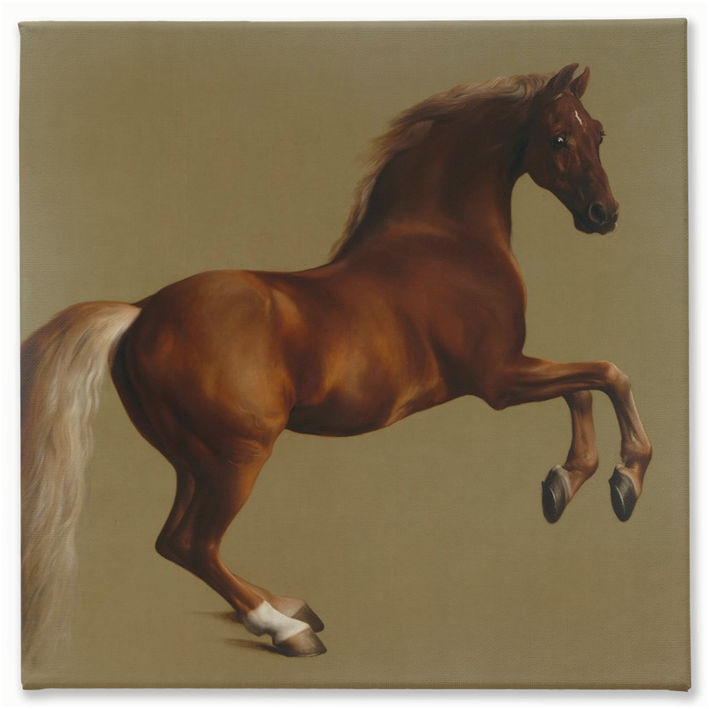 Whistlejacket, Stretched Canvas