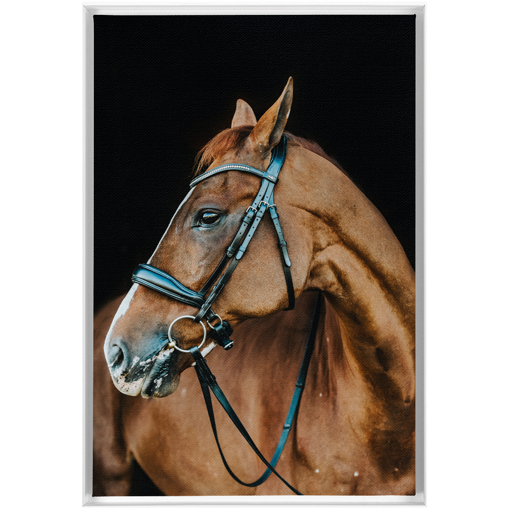 Hudson Series 6, Framed Canvas
