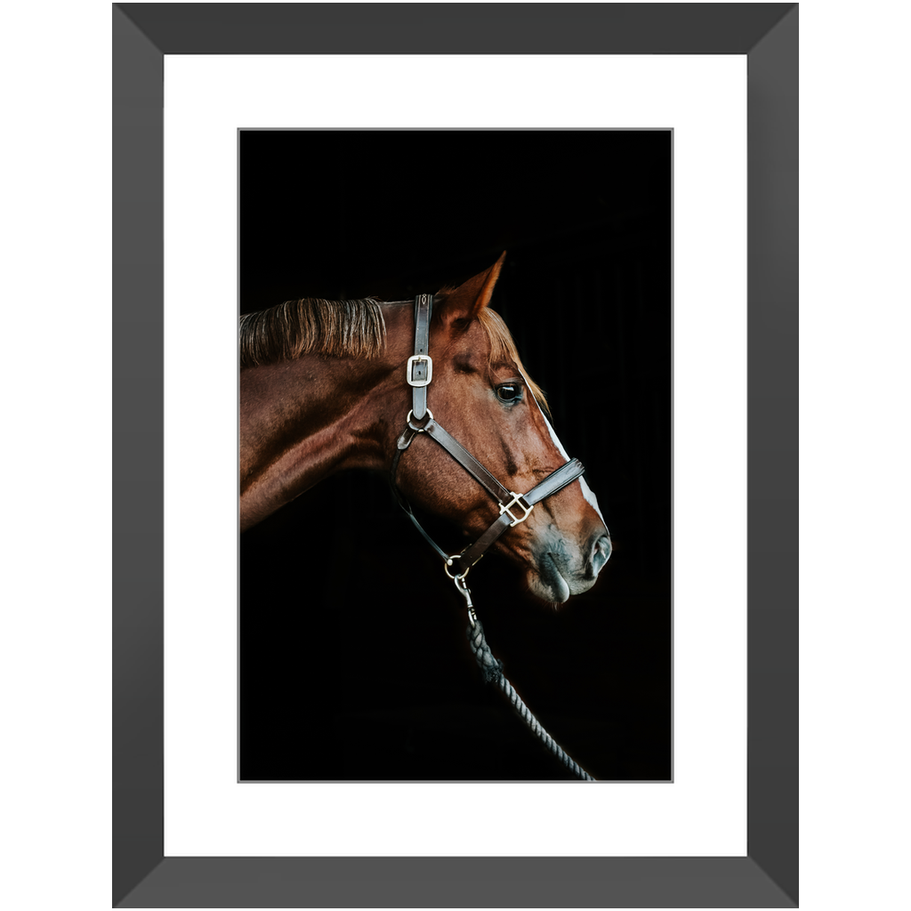 Django Series 3, Framed Print