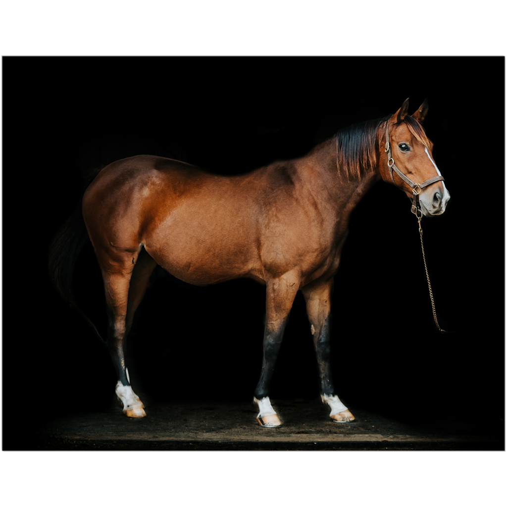 Majestic Series 6, Print