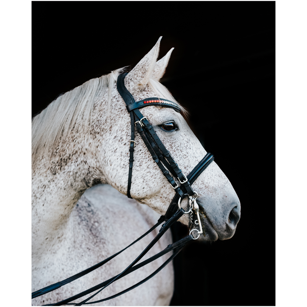 Apollo Series 2, Print