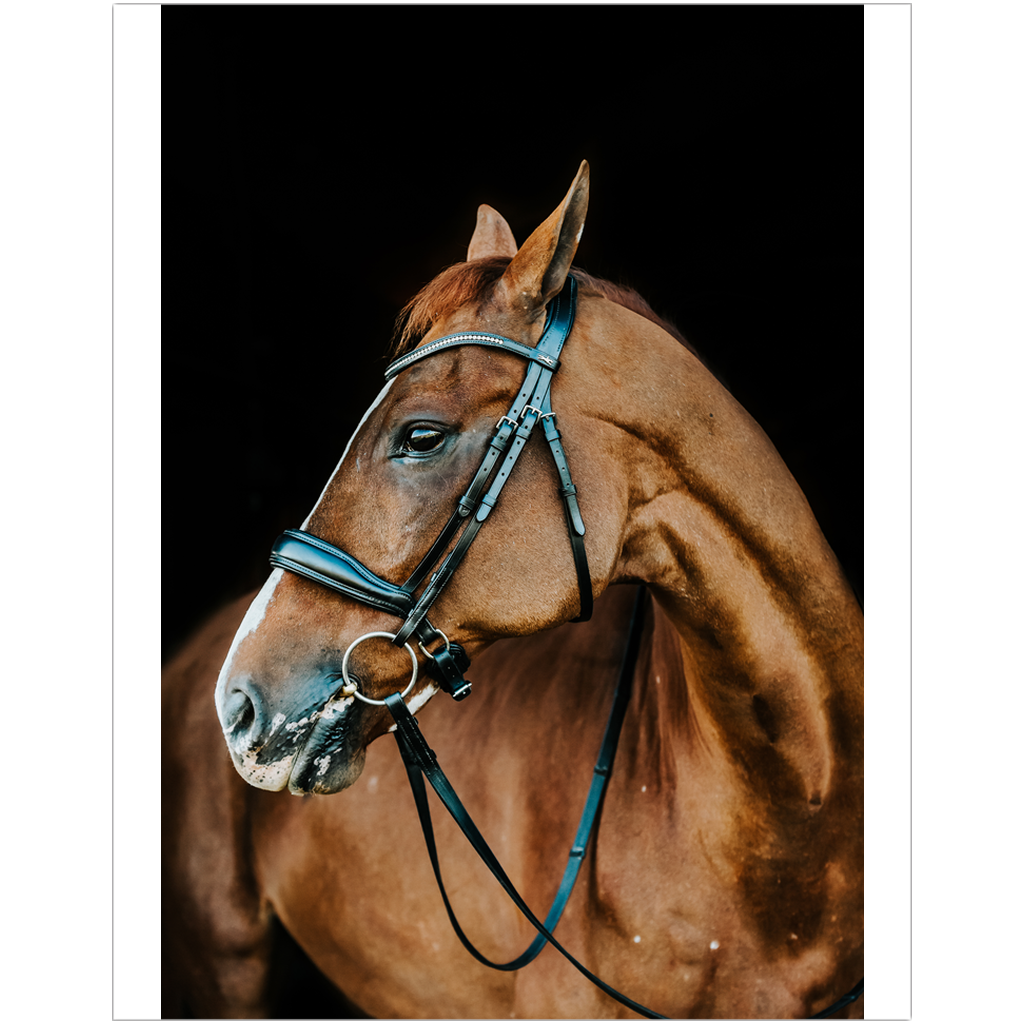 Hudson Series 6, Print